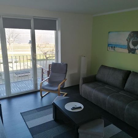Apartman Terassa Доні-Мілановац Екстер'єр фото