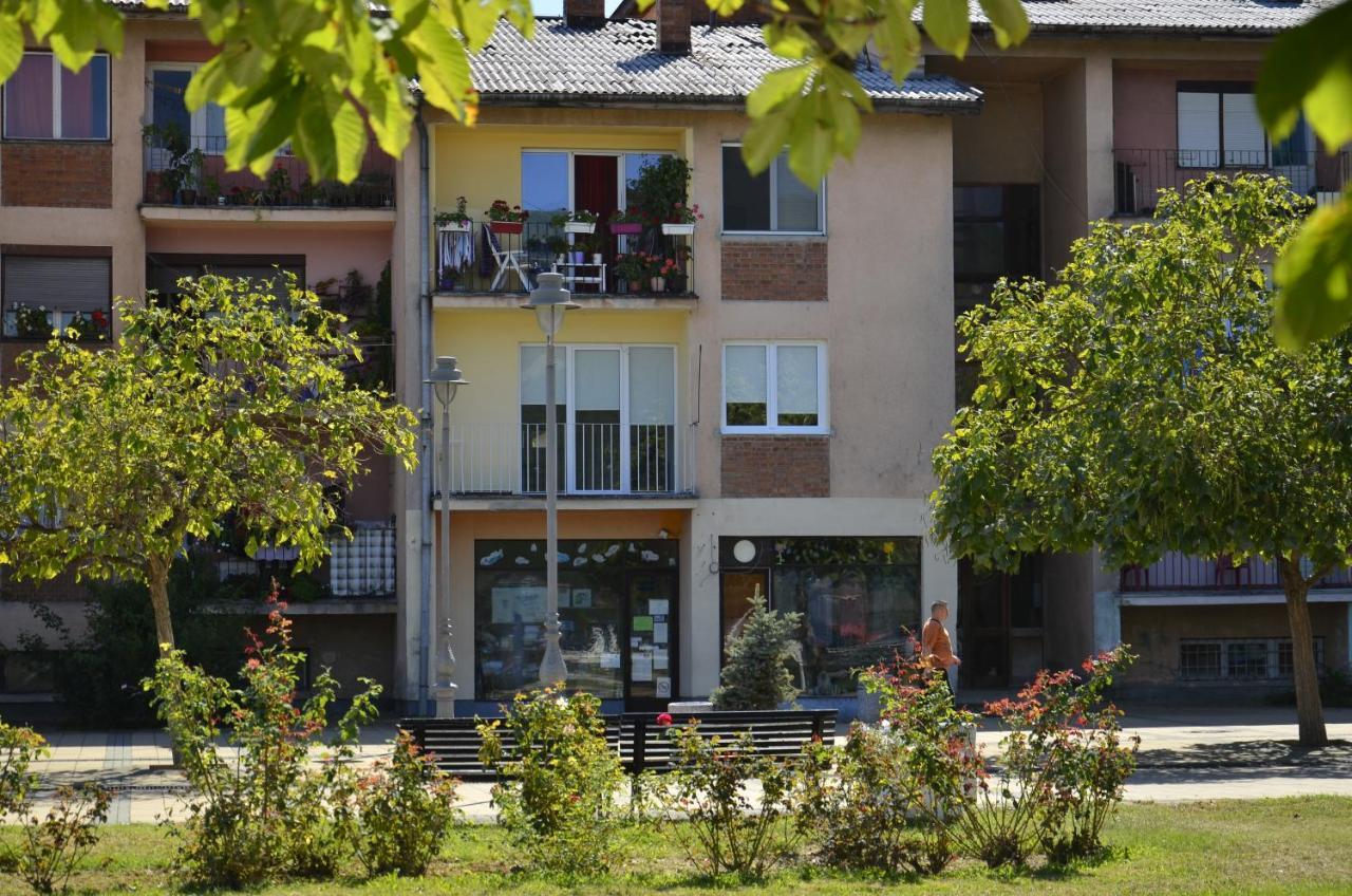 Apartman Terassa Доні-Мілановац Екстер'єр фото