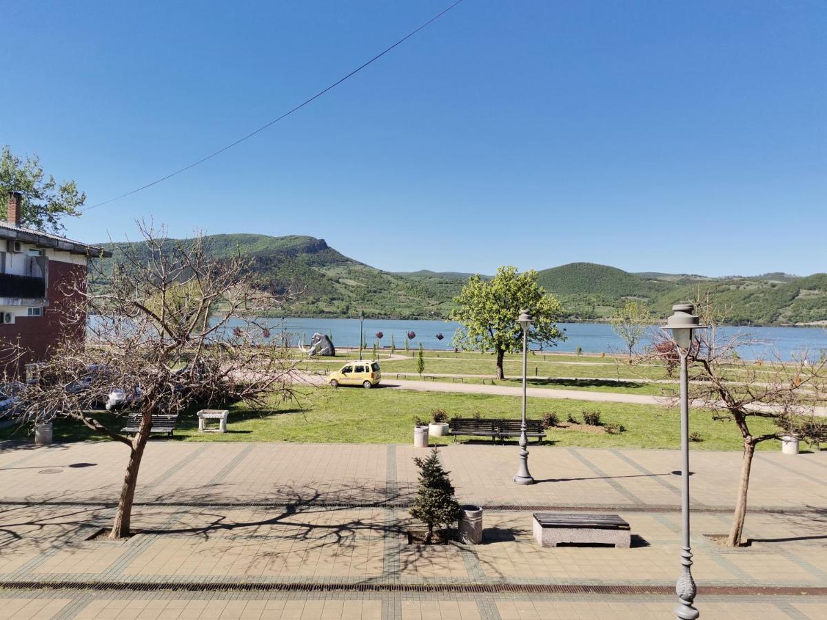 Apartman Terassa Доні-Мілановац Екстер'єр фото