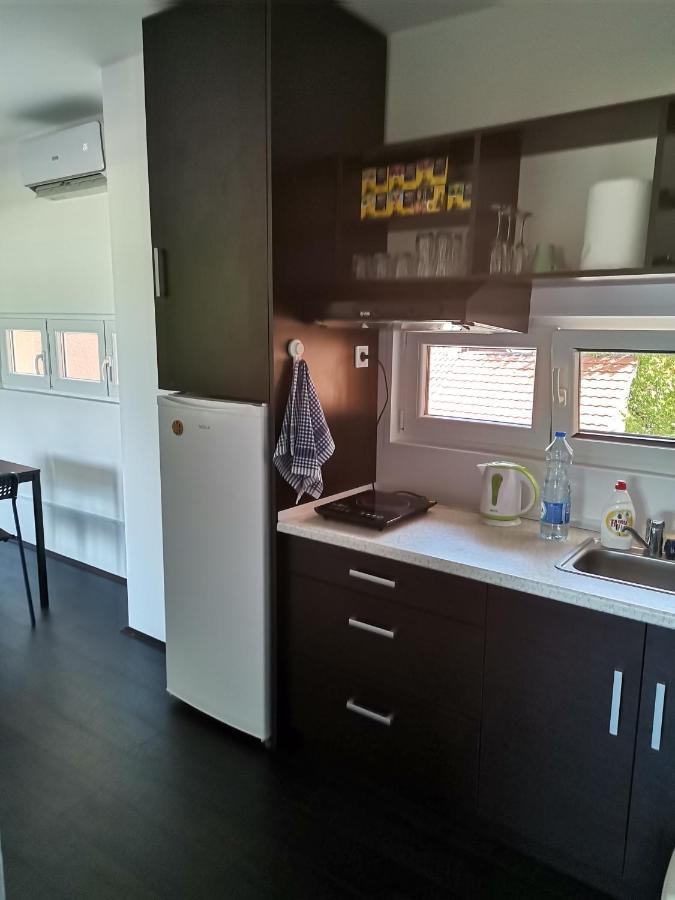 Apartman Terassa Доні-Мілановац Екстер'єр фото
