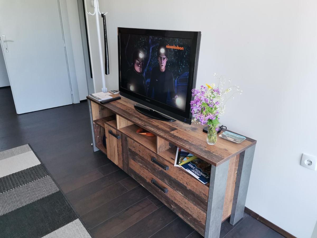 Apartman Terassa Доні-Мілановац Екстер'єр фото