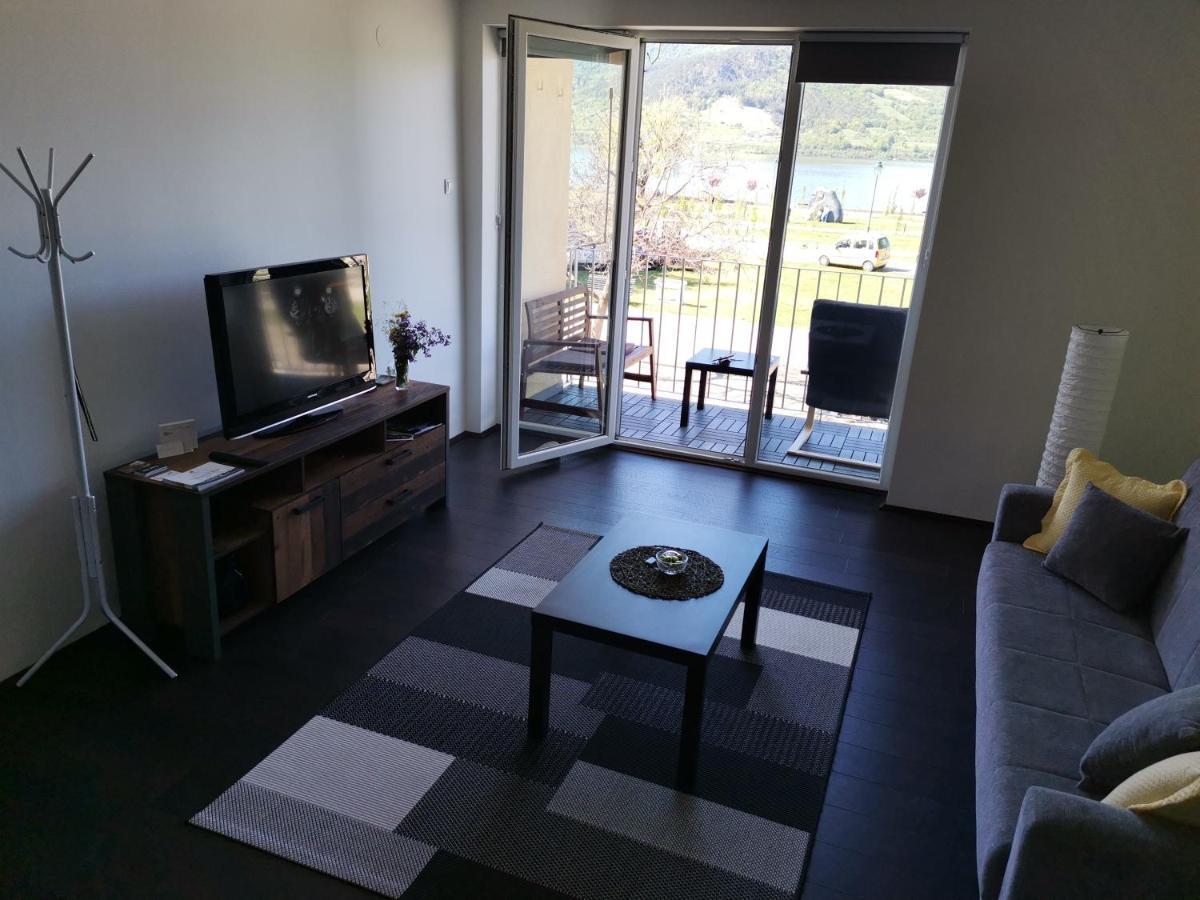 Apartman Terassa Доні-Мілановац Екстер'єр фото