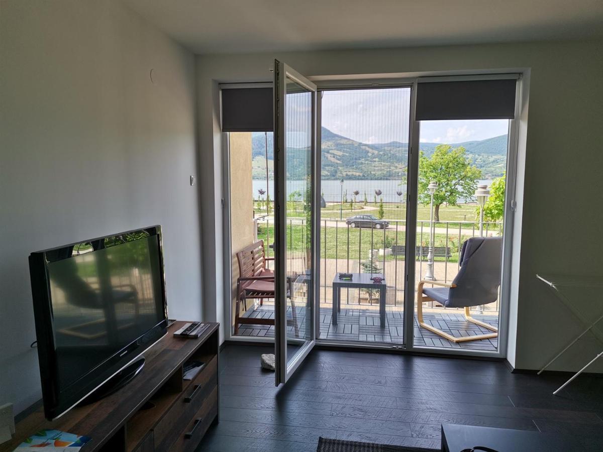 Apartman Terassa Доні-Мілановац Екстер'єр фото