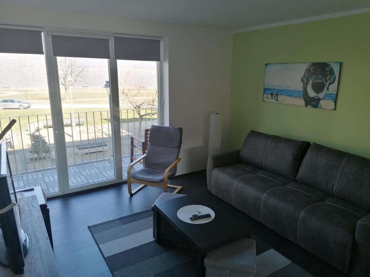 Apartman Terassa Доні-Мілановац Екстер'єр фото