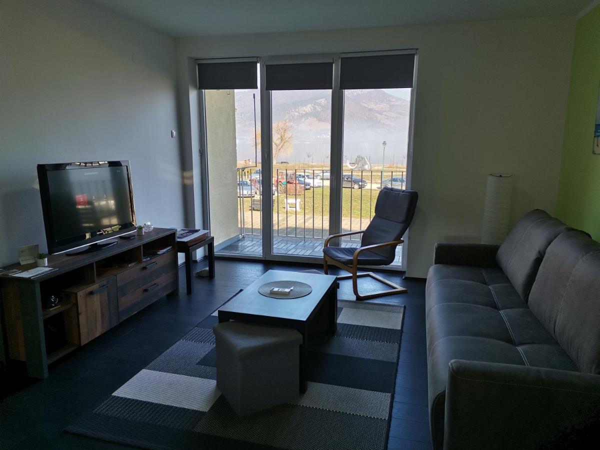 Apartman Terassa Доні-Мілановац Екстер'єр фото