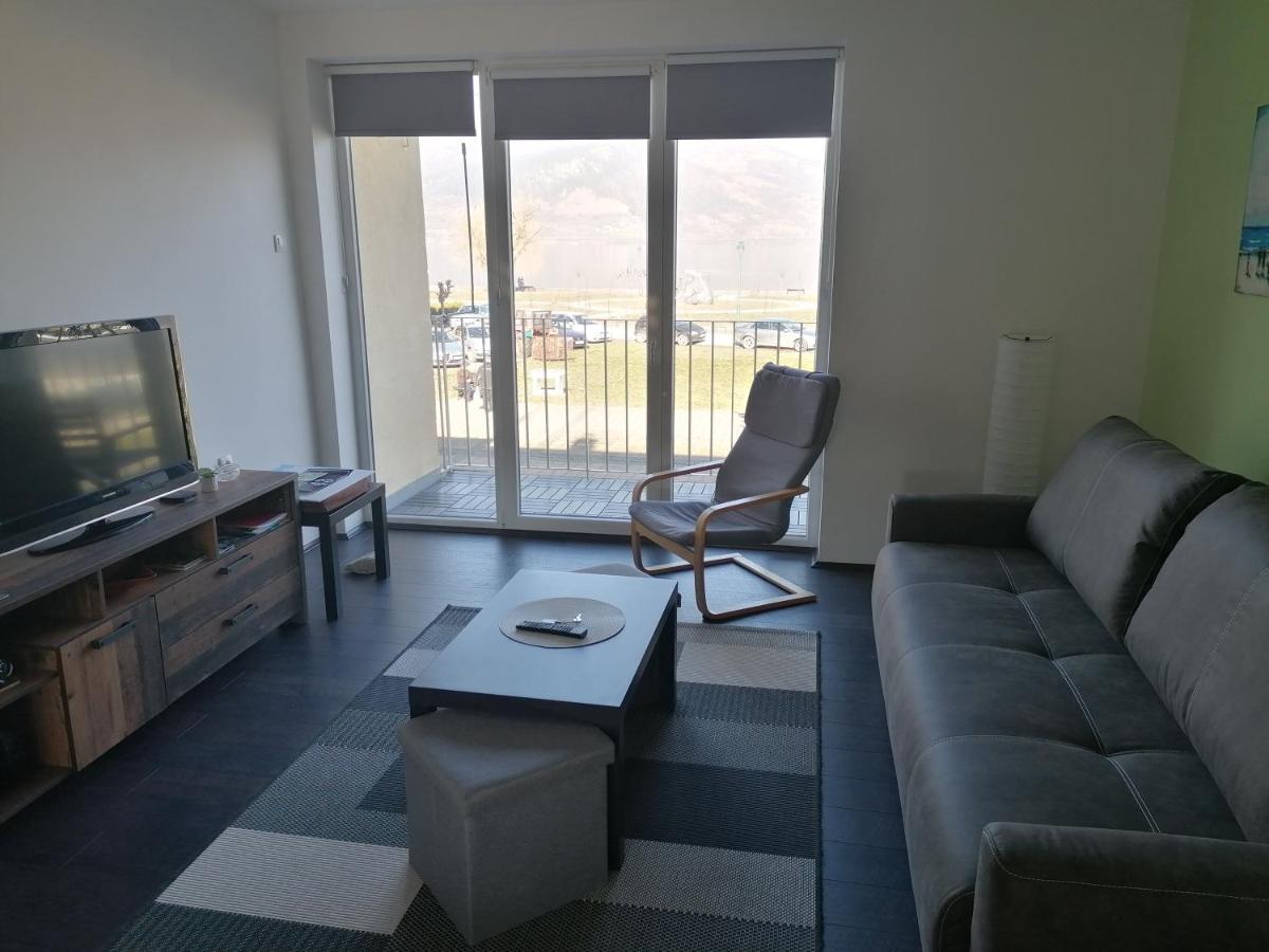 Apartman Terassa Доні-Мілановац Екстер'єр фото